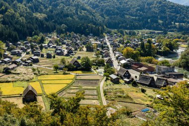 Shirakawa Tarihi Japonlar. Shirakawago köyü sonbaharda havadan izleniyor. Çatı zukuri tarzında ahşap bir ev. Shirakawa-go, Japonya 'nın Unesco dünya mirası ve dönüm noktasıdır.