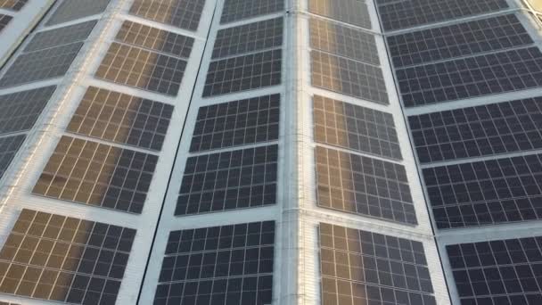 在大型工业园区周围的自然绿色农场旁边飞越太阳能电池农场 太阳能农场正在为该行业生产可再生能源 — 图库视频影像