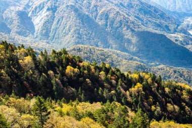 Ana turistik ilgi odağı Shin Hotaka 'nın sonbahar renklerinde bir teleferik ve turistlere hizmet veren bir halatla. Japon Alpleri, Shinhotaka halatı ve sonbahar yaprakları..