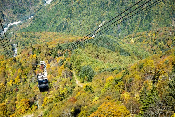 秋天的主要旅游景点Shin Hotaka的气氛 是用缆车和缆车为游客提供服务的 日本阿尔卑斯山 Shinhotaka Ropeway和秋叶 — 图库照片