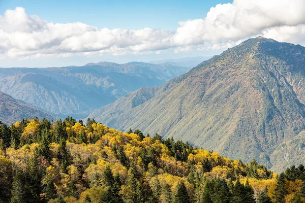 Ana turistik ilgi odağı Shin Hotaka 'nın sonbahar renklerinde bir teleferik ve turistlere hizmet veren bir halatla. Japon Alpleri, Shinhotaka halatı ve sonbahar yaprakları..