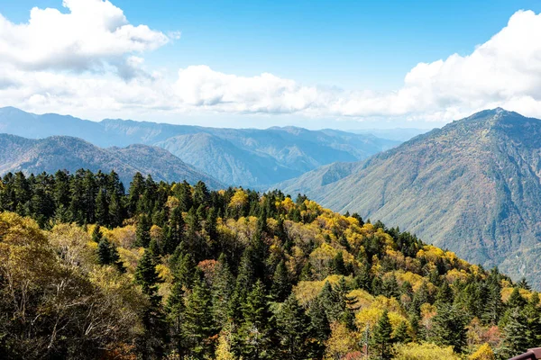 Ana turistik ilgi odağı Shin Hotaka 'nın sonbahar renklerinde bir teleferik ve turistlere hizmet veren bir halatla. Japon Alpleri, Shinhotaka halatı ve sonbahar yaprakları..