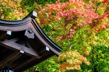 Takayama Gifu Japonya - Ekim 2023: Sonbahar mevsiminde Takayama 'daki eski şehir, eski şehrin güzel ve çekici atmosferiyle.