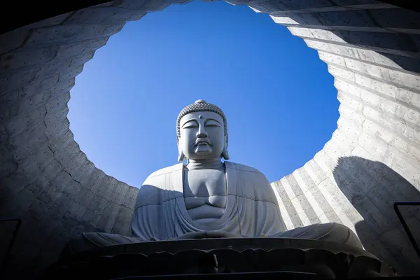 Статуя Будды Спроектирована Тадао Андо Известным Японским Архитектором Атама Дайбуцу Стоковая Картинка