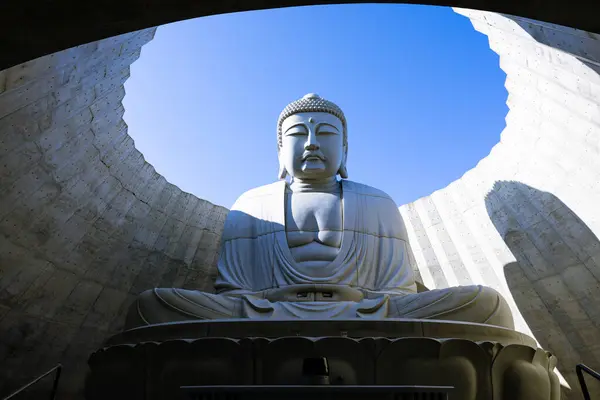 Статуя Будды Спроектирована Тадао Андо Известным Японским Архитектором Атама Дайбуцу Лицензионные Стоковые Изображения