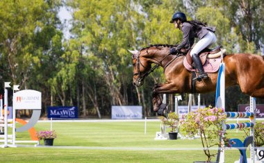 Pattaya, Tayland - Ocak 2025: Bu görüntü Tayland polo kulübündeki bir binicilik atlama yarışmasında heyecan verici bir anı yakalıyor. Bir binici havada atına ustalıkla rehberlik ederken görülüyor..