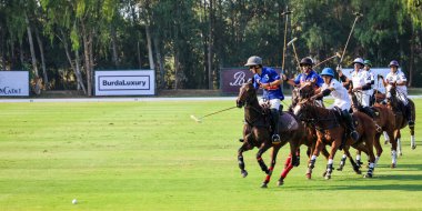 Phattaya, Tayland - 25 Ocak 2025: Bir polo maçı sırasında, Tayland polo kulübündeki çimenli bir sahada at süren beş oyuncunun yer aldığı an.