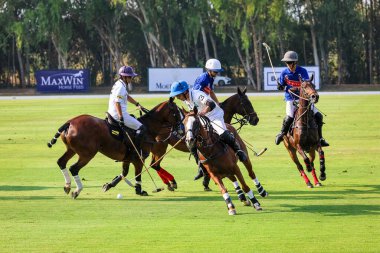 Phattaya, Tayland - 25 Ocak 2025: Bir polo maçı sırasında, Tayland polo kulübündeki çimenli bir sahada at süren beş oyuncunun yer aldığı an.