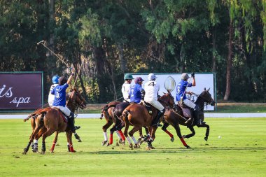 Phattaya, Tayland - 25 Ocak 2025: Bir polo maçı sırasında, Tayland polo kulübündeki çimenli bir sahada at süren beş oyuncunun yer aldığı an. 