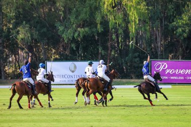 Phattaya, Tayland - 25 Ocak 2025: Bir polo maçı sırasında, Tayland polo kulübündeki çimenli bir sahada at süren beş oyuncunun yer aldığı an. 