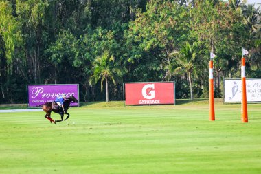Phattaya, Tayland - 25 Ocak 2025: Bir polo maçı sırasında, Tayland polo kulübündeki çimenli bir sahada at süren beş oyuncunun yer aldığı an. 