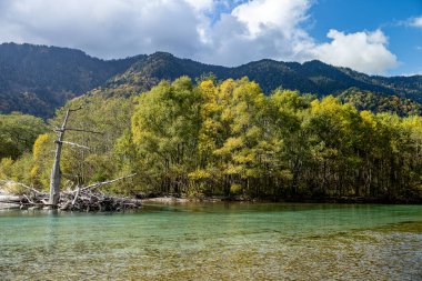 Kuzey Japonya Alplerinde dağlık bir vadi olan Kamikochi 'nin nefes kesici güzelliğini yakalıyor..