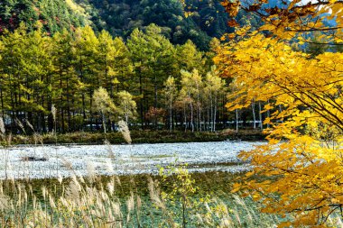 Kuzey Japonya Alplerinde dağlık bir vadi olan Kamikochi 'nin nefes kesici güzelliğini yakalıyor..