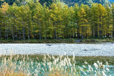 Kuzey Japonya Alplerinde dağlık bir vadi olan Kamikochi 'nin nefes kesici güzelliğini yakalıyor..