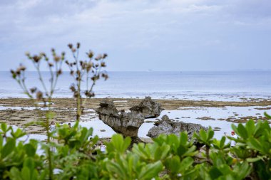 Okinawa sahilinin atmosferinde kristal berrak su, görünür kayalar ve kıyıya vuran dalgalar vardır..