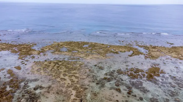 Okinawa 'da deniz yüzeyi temiz su ve insansız hava aracının öfke bakışından kayayla kaplı..