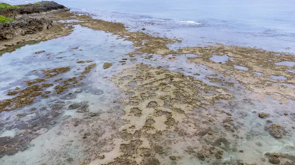Okinawa 'da deniz yüzeyi temiz su ve insansız hava aracının öfke bakışından kayayla kaplı..