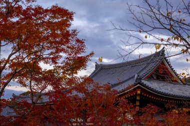 Kyoto, Japonya - Aralık 2024: Byodoin Tapınağı, UNESCO Dünya Mirasları Alanı, Uji, Kyoto. Resim, simetrik mimarisiyle ikonik Phoenix Salonu 'nu sergiliyor. Huzurlu gölete güzel yansıyor..