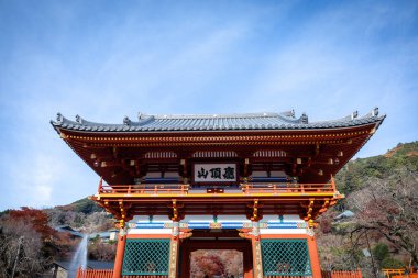 Osaka, Japonya - Aralık 2024: Minoh 'taki Katsuo-ji Tapınağı' nın en yoğun sonbahar dönemi manzarası. Canlı kırmızı ve turuncu akçaağaç yapraklarıyla güzelce çerçevelenmiş, Japon sonbaharının sakin atmosferini yansıtıyor..