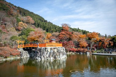 Osaka, Japonya - Aralık 2024: Minoh 'taki Katsuo-ji Tapınağı' nın en yoğun sonbahar dönemi manzarası. Canlı kırmızı ve turuncu akçaağaç yapraklarıyla güzelce çerçevelenmiş, Japon sonbaharının sakin atmosferini yansıtıyor..