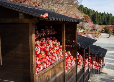 Osaka, Japonya - Aralık 2024: Minoh 'taki Katsuo-ji Tapınağı' nın en yoğun sonbahar dönemi manzarası. Canlı kırmızı ve turuncu akçaağaç yapraklarıyla güzelce çerçevelenmiş, Japon sonbaharının sakin atmosferini yansıtıyor..