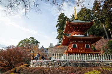 Osaka, Japonya - Aralık 2024: Minoh 'taki Katsuo-ji Tapınağı' nın en yoğun sonbahar dönemi manzarası. Canlı kırmızı ve turuncu akçaağaç yapraklarıyla güzelce çerçevelenmiş, Japon sonbaharının sakin atmosferini yansıtıyor..