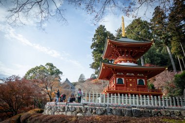 Osaka, Japonya - Aralık 2024: Minoh 'taki Katsuo-ji Tapınağı' nın en yoğun sonbahar dönemi manzarası. Canlı kırmızı ve turuncu akçaağaç yapraklarıyla güzelce çerçevelenmiş, Japon sonbaharının sakin atmosferini yansıtıyor..