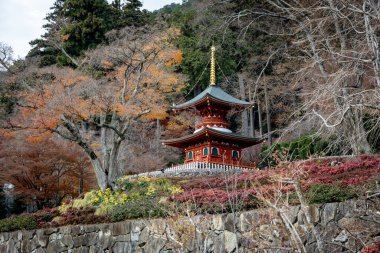 Osaka, Japonya - Aralık 2024: Minoh 'taki Katsuo-ji Tapınağı' nın en yoğun sonbahar dönemi manzarası. Canlı kırmızı ve turuncu akçaağaç yapraklarıyla güzelce çerçevelenmiş, Japon sonbaharının sakin atmosferini yansıtıyor..