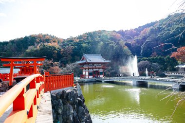 Osaka, Japonya - Aralık 2024: Minoh 'taki Katsuo-ji Tapınağı' nın en yoğun sonbahar dönemi manzarası. Canlı kırmızı ve turuncu akçaağaç yapraklarıyla güzelce çerçevelenmiş, Japon sonbaharının sakin atmosferini yansıtıyor..