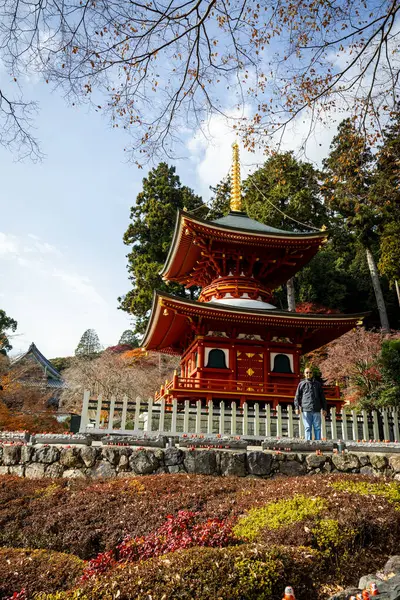 Osaka, Japonya - Aralık 2024: Minoh 'taki Katsuo-ji Tapınağı' nın en yoğun sonbahar dönemi manzarası. Canlı kırmızı ve turuncu akçaağaç yapraklarıyla güzelce çerçevelenmiş, Japon sonbaharının sakin atmosferini yansıtıyor..