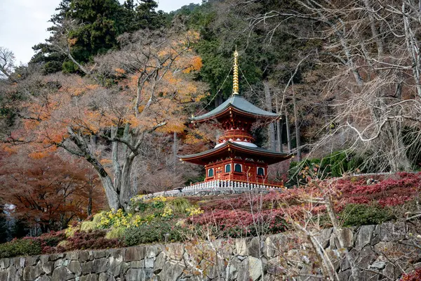 Osaka, Japonya - Aralık 2024: Minoh 'taki Katsuo-ji Tapınağı' nın en yoğun sonbahar dönemi manzarası. Canlı kırmızı ve turuncu akçaağaç yapraklarıyla güzelce çerçevelenmiş, Japon sonbaharının sakin atmosferini yansıtıyor..