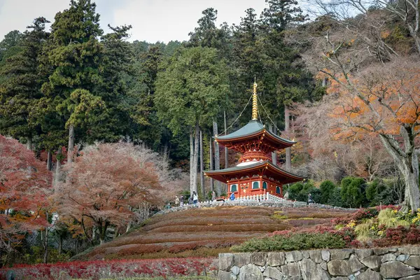 Osaka, Japonya - Aralık 2024: Minoh 'taki Katsuo-ji Tapınağı' nın en yoğun sonbahar dönemi manzarası. Canlı kırmızı ve turuncu akçaağaç yapraklarıyla güzelce çerçevelenmiş, Japon sonbaharının sakin atmosferini yansıtıyor..