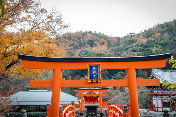 Osaka, Japonya - Aralık 2024: Minoh 'taki Katsuo-ji Tapınağı' nın en yoğun sonbahar dönemi manzarası. Canlı kırmızı ve turuncu akçaağaç yapraklarıyla güzelce çerçevelenmiş, Japon sonbaharının sakin atmosferini yansıtıyor..