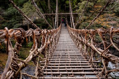 Kazura-bashi, Japonya 'nın Shikoku Vadisi' nin derinliklerinde bulunan tarihi bir asma köprüdür. Doğal asmalar ve ahşap kalaslarla inşa edilen köprü, Iya Nehri boyunca uzanır ve bereketli dağ ormanlarıyla çevrilidir..
