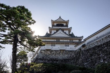 Kochi Şehri, Shikoku, Japonya - Aralık 2024: Kochi Kalesi canlı sonbahar yapraklarıyla çevrili iyi korunmuş bir Japon kalesidir. Ahşap yapının geleneksel kalesi kırmızı akçaağaç ve altın ginkgo ağaçları arasında zarif duruyor..