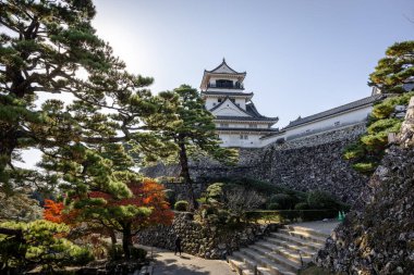 Kochi Şehri, Shikoku, Japonya - Aralık 2024: Kochi Kalesi canlı sonbahar yapraklarıyla çevrili iyi korunmuş bir Japon kalesidir. Ahşap yapının geleneksel kalesi kırmızı akçaağaç ve altın ginkgo ağaçları arasında zarif duruyor..