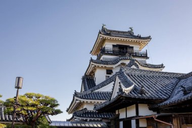 Kochi Şehri, Shikoku, Japonya - Aralık 2024: Kochi Kalesi canlı sonbahar yapraklarıyla çevrili iyi korunmuş bir Japon kalesidir. Ahşap yapının geleneksel kalesi kırmızı akçaağaç ve altın ginkgo ağaçları arasında zarif duruyor..