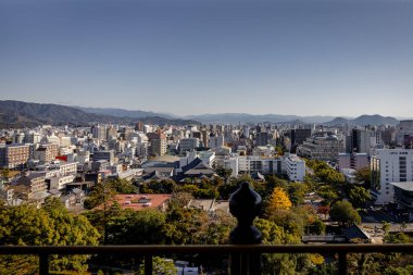 Kochi Şehri, Shikoku, Japonya - Aralık 2024: Kochi Kalesi canlı sonbahar yapraklarıyla çevrili iyi korunmuş bir Japon kalesidir. Ahşap yapının geleneksel kalesi kırmızı akçaağaç ve altın ginkgo ağaçları arasında zarif duruyor..