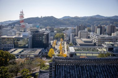 Kochi Şehri, Shikoku, Japonya - Aralık 2024: Kochi Kalesi canlı sonbahar yapraklarıyla çevrili iyi korunmuş bir Japon kalesidir. Ahşap yapının geleneksel kalesi kırmızı akçaağaç ve altın ginkgo ağaçları arasında zarif duruyor..