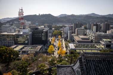 Kochi Şehri, Shikoku, Japonya - Aralık 2024: Kochi Kalesi canlı sonbahar yapraklarıyla çevrili iyi korunmuş bir Japon kalesidir. Ahşap yapının geleneksel kalesi kırmızı akçaağaç ve altın ginkgo ağaçları arasında zarif duruyor..