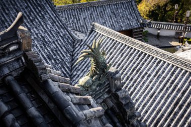 Kochi Şehri, Shikoku, Japonya - Aralık 2024: Kochi Kalesi canlı sonbahar yapraklarıyla çevrili iyi korunmuş bir Japon kalesidir. Ahşap yapının geleneksel kalesi kırmızı akçaağaç ve altın ginkgo ağaçları arasında zarif duruyor..