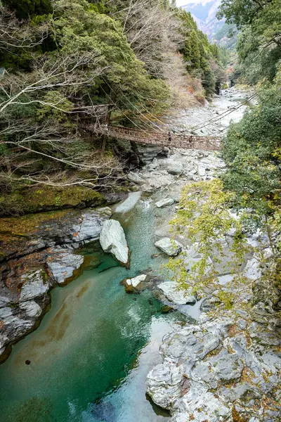 Kazura-bashi, Japonya 'nın Shikoku Vadisi' nin derinliklerinde bulunan tarihi bir asma köprüdür. Doğal asmalar ve ahşap kalaslarla inşa edilen köprü, Iya Nehri boyunca uzanır ve bereketli dağ ormanlarıyla çevrilidir..
