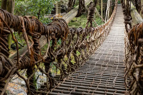 Kazura-bashi, Japonya 'nın Shikoku Vadisi' nin derinliklerinde bulunan tarihi bir asma köprüdür. Doğal asmalar ve ahşap kalaslarla inşa edilen köprü, Iya Nehri boyunca uzanır ve bereketli dağ ormanlarıyla çevrilidir..