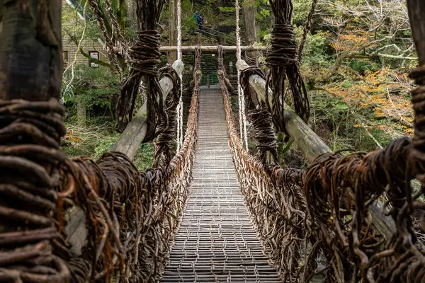 Kazura-bashi, Japonya 'nın Shikoku Vadisi' nin derinliklerinde bulunan tarihi bir asma köprüdür. Doğal asmalar ve ahşap kalaslarla inşa edilen köprü, Iya Nehri boyunca uzanır ve bereketli dağ ormanlarıyla çevrilidir..