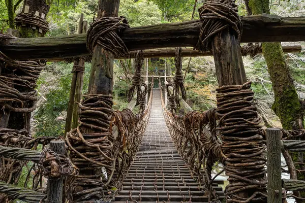 Kazura-bashi, Japonya 'nın Shikoku Vadisi' nin derinliklerinde bulunan tarihi bir asma köprüdür. Doğal asmalar ve ahşap kalaslarla inşa edilen köprü, Iya Nehri boyunca uzanır ve bereketli dağ ormanlarıyla çevrilidir..