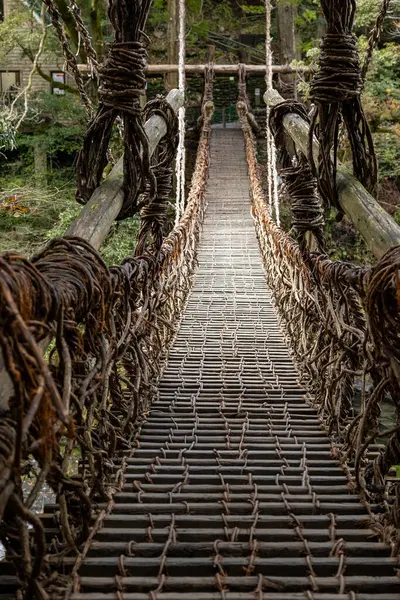 Kazura-bashi, Japonya 'nın Shikoku Vadisi' nin derinliklerinde bulunan tarihi bir asma köprüdür. Doğal asmalar ve ahşap kalaslarla inşa edilen köprü, Iya Nehri boyunca uzanır ve bereketli dağ ormanlarıyla çevrilidir..