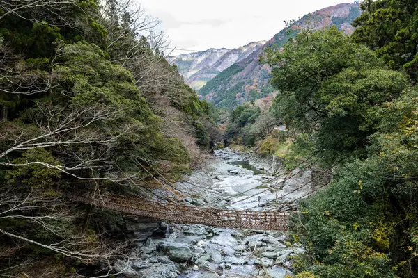 Kazura-bashi, Japonya 'nın Shikoku Vadisi' nin derinliklerinde bulunan tarihi bir asma köprüdür. Doğal asmalar ve ahşap kalaslarla inşa edilen köprü, Iya Nehri boyunca uzanır ve bereketli dağ ormanlarıyla çevrilidir..