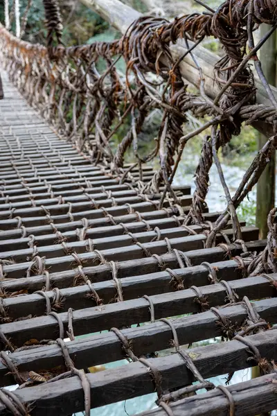 Kazura-bashi, Japonya 'nın Shikoku Vadisi' nin derinliklerinde bulunan tarihi bir asma köprüdür. Doğal asmalar ve ahşap kalaslarla inşa edilen köprü, Iya Nehri boyunca uzanır ve bereketli dağ ormanlarıyla çevrilidir..