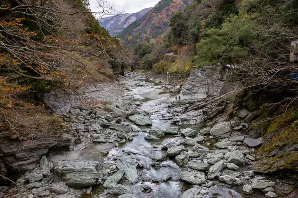 Kazura-bashi, Japonya 'nın Shikoku Vadisi' nin derinliklerinde bulunan tarihi bir asma köprüdür. Doğal asmalar ve ahşap kalaslarla inşa edilen köprü, Iya Nehri boyunca uzanır ve bereketli dağ ormanlarıyla çevrilidir..