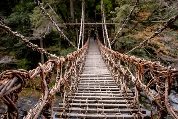 Kazura-bashi, Japonya 'nın Shikoku Vadisi' nin derinliklerinde bulunan tarihi bir asma köprüdür. Doğal asmalar ve ahşap kalaslarla inşa edilen köprü, Iya Nehri boyunca uzanır ve bereketli dağ ormanlarıyla çevrilidir..